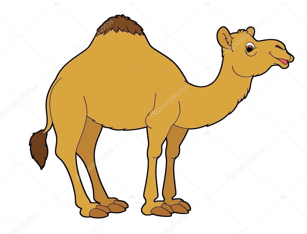 Верблюд карточка для детей