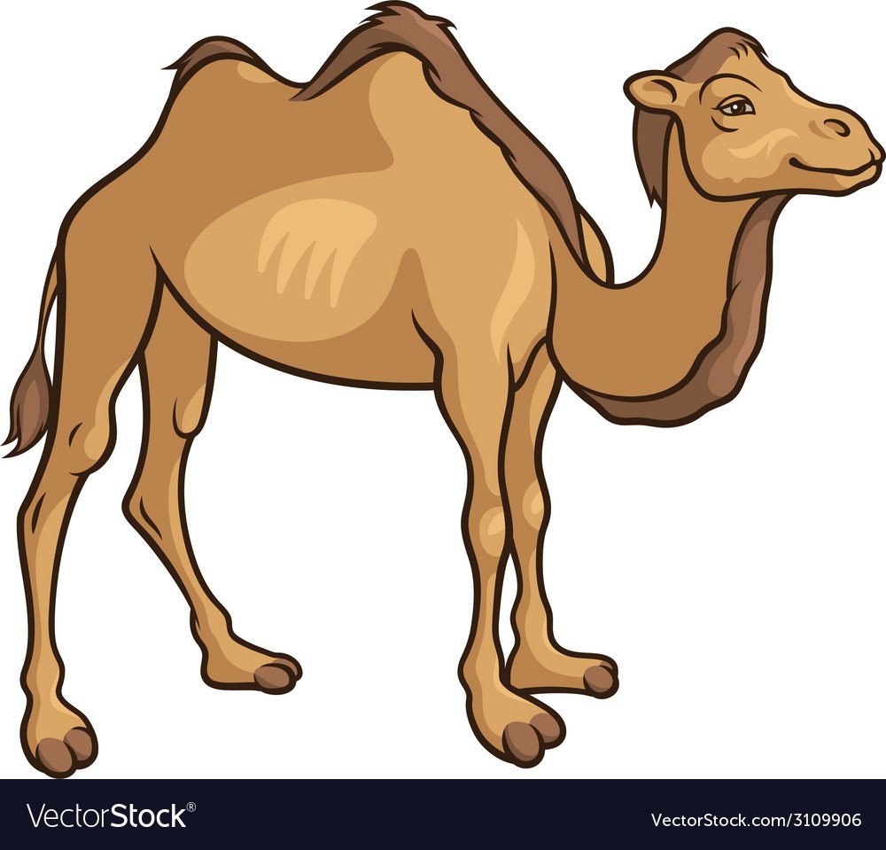 Верблюд картинка для детей