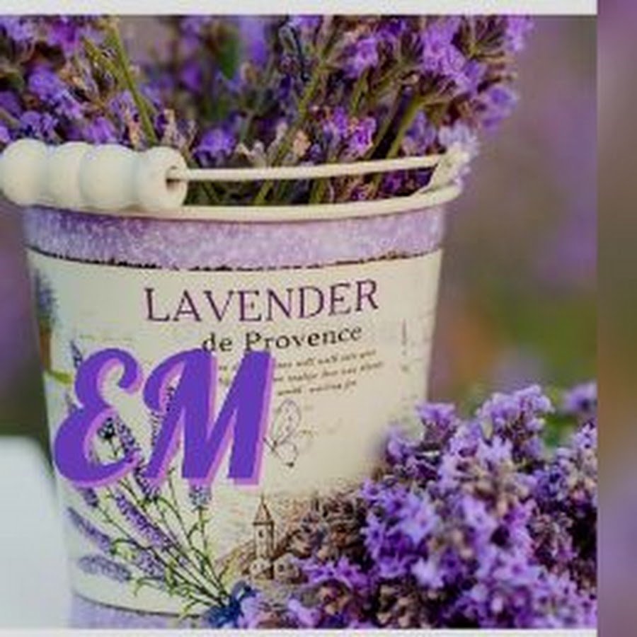 Поздравления с днём рождения Лаванда