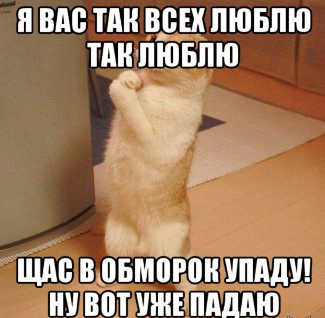 Я вас очень люблю