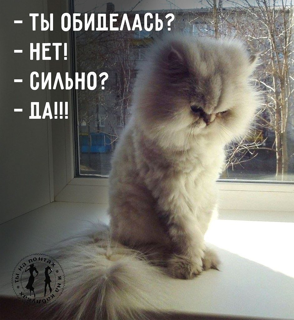 Обиделась нет сильно да