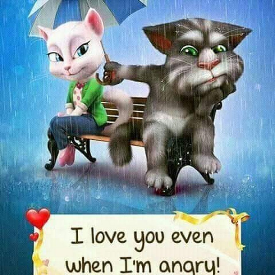 Не злись на меня любимый