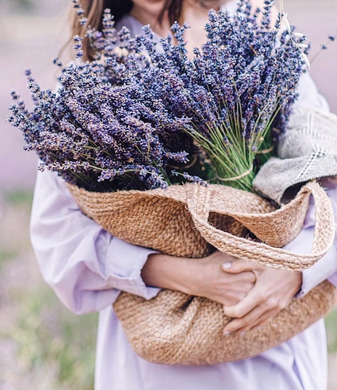 Лаванда Мирей