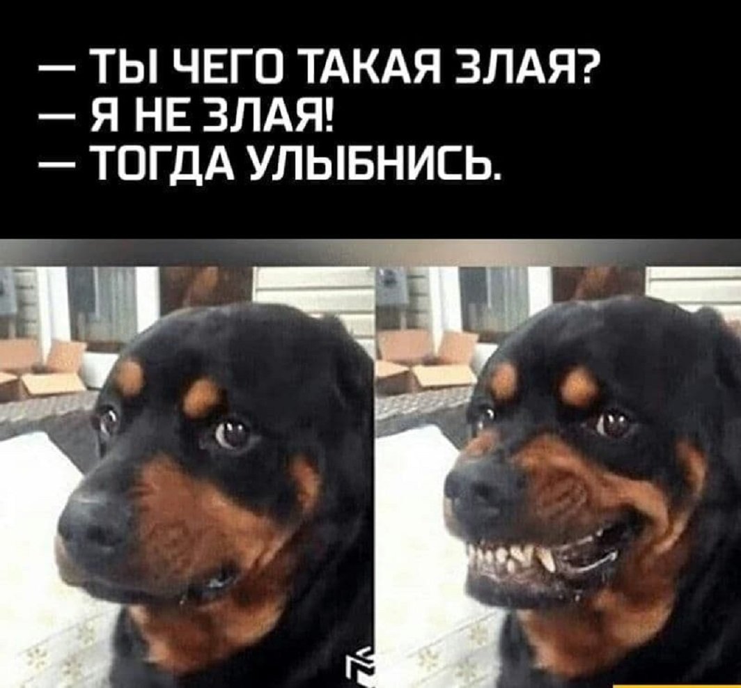 Ты чего такая злая