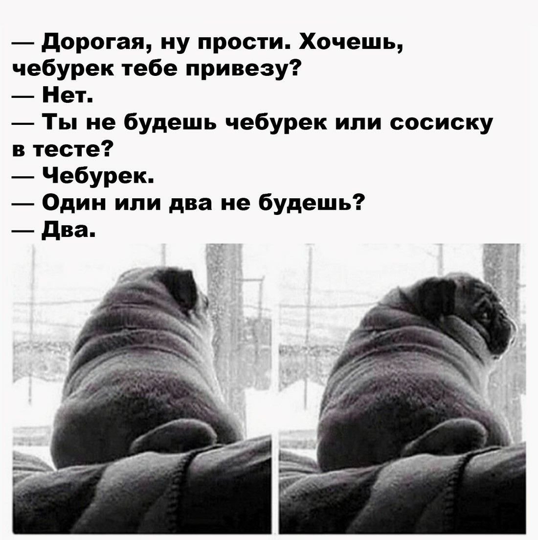 Спорить с женщиной афоризмы