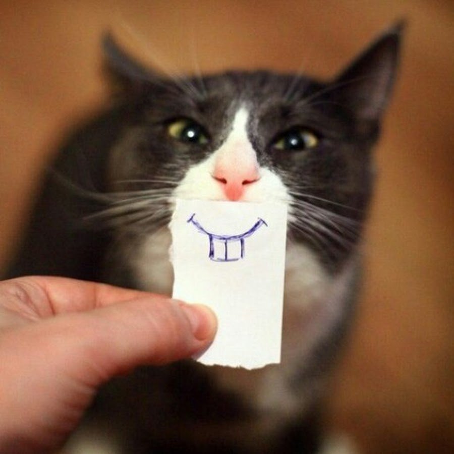 Я уже даже не злюсь