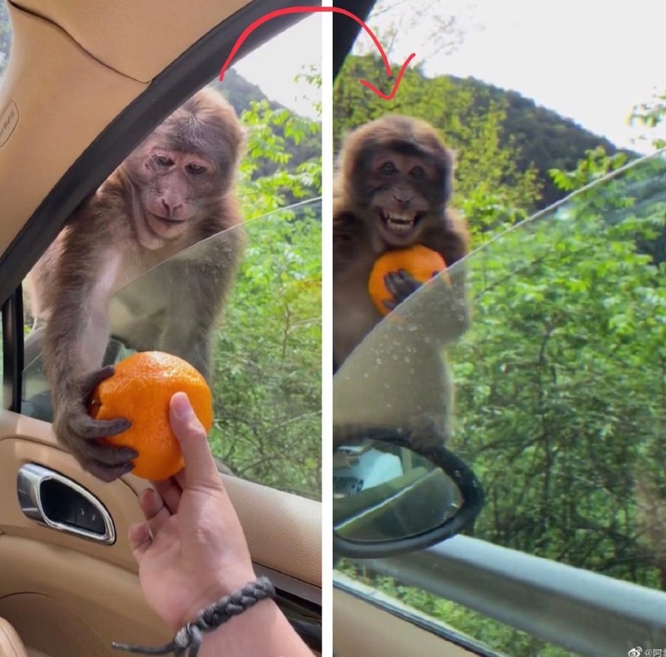 Обезьянка стапельстном