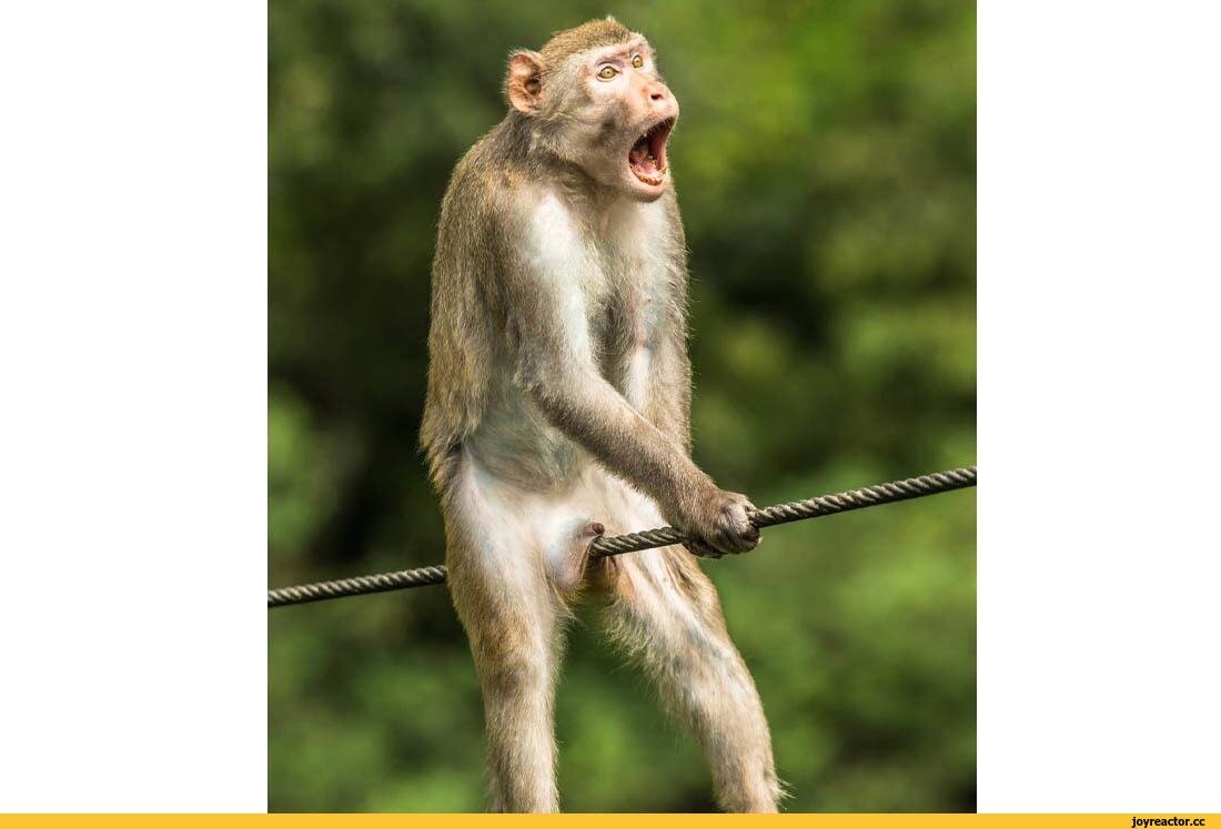 И создал Бог женщину расхохотался