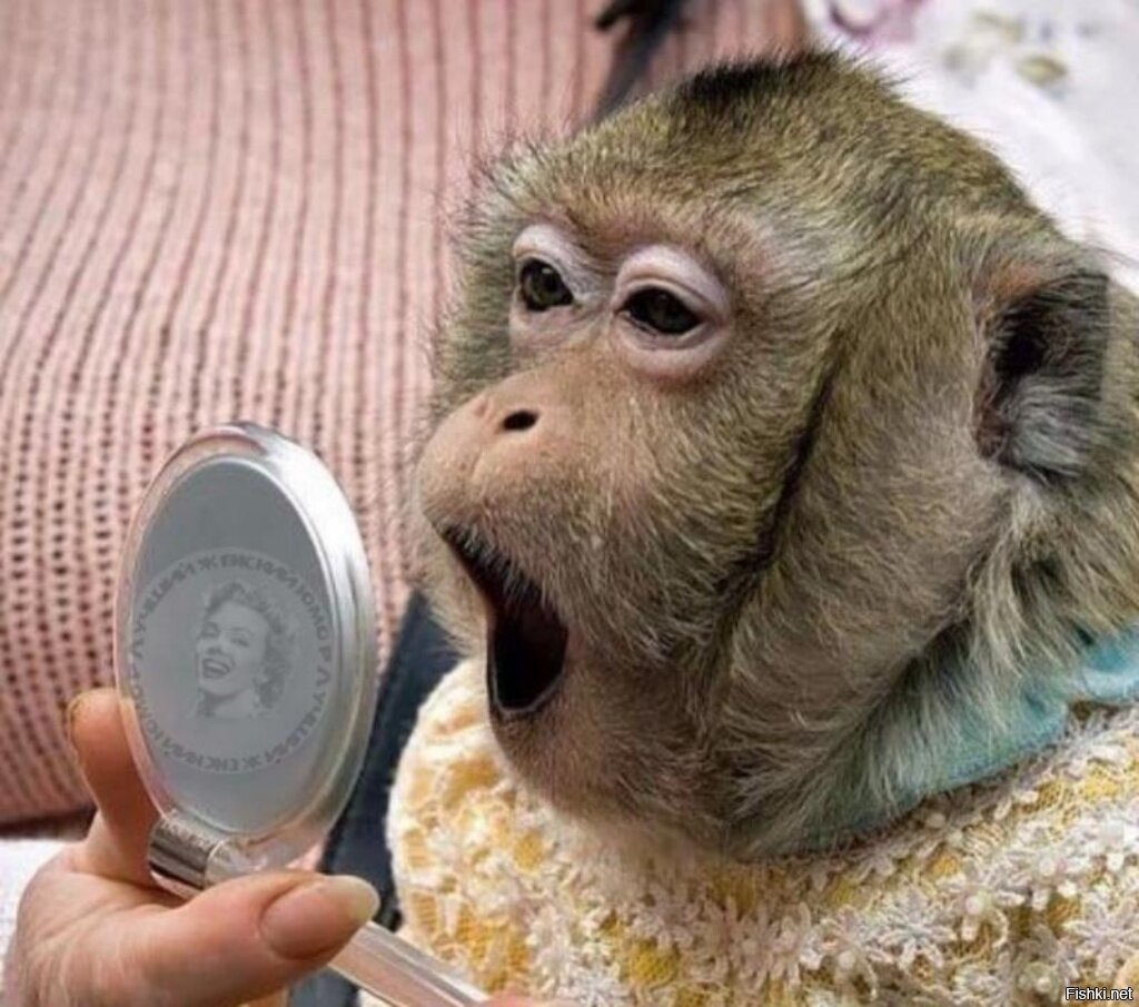Обезьянка и бананы