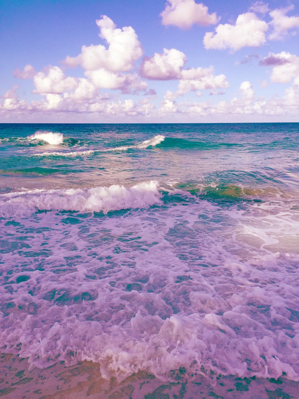 Море песок ракушки