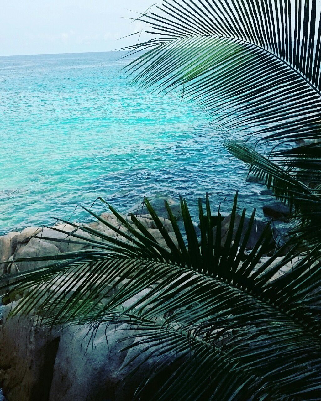 Море сверху