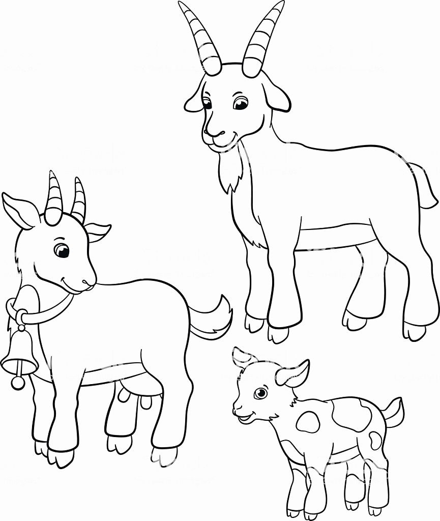 Маленькие козочки молочные