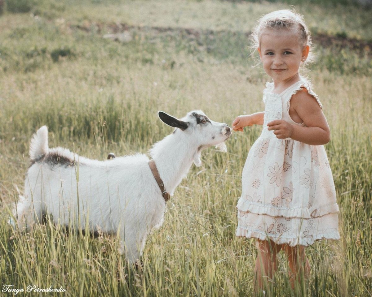 Коза мультяшные милые