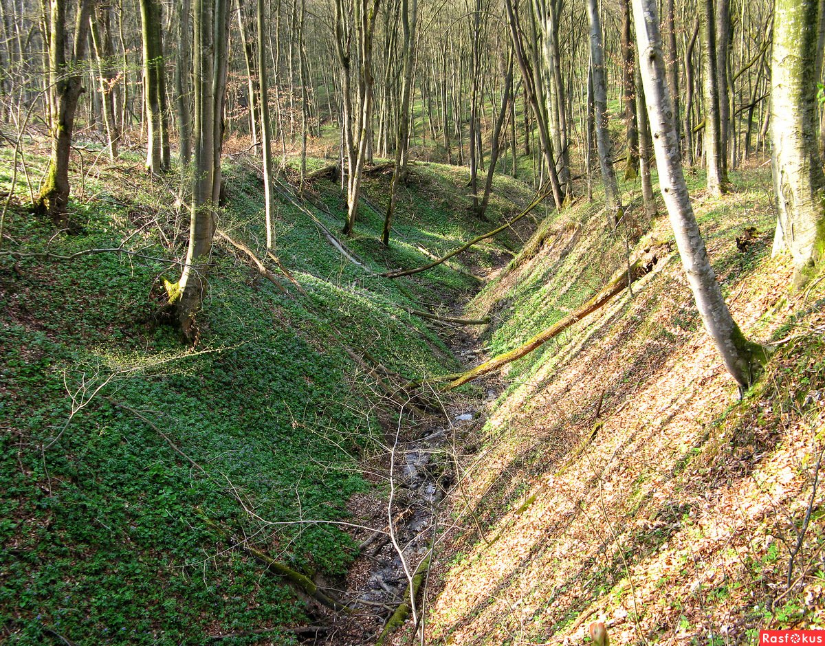 Овраг Липуша