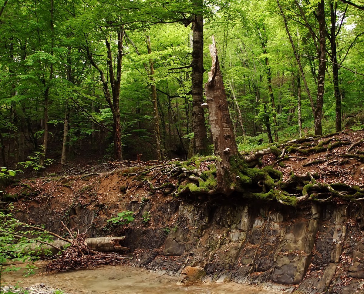 Курская область овражно балочный рельеф