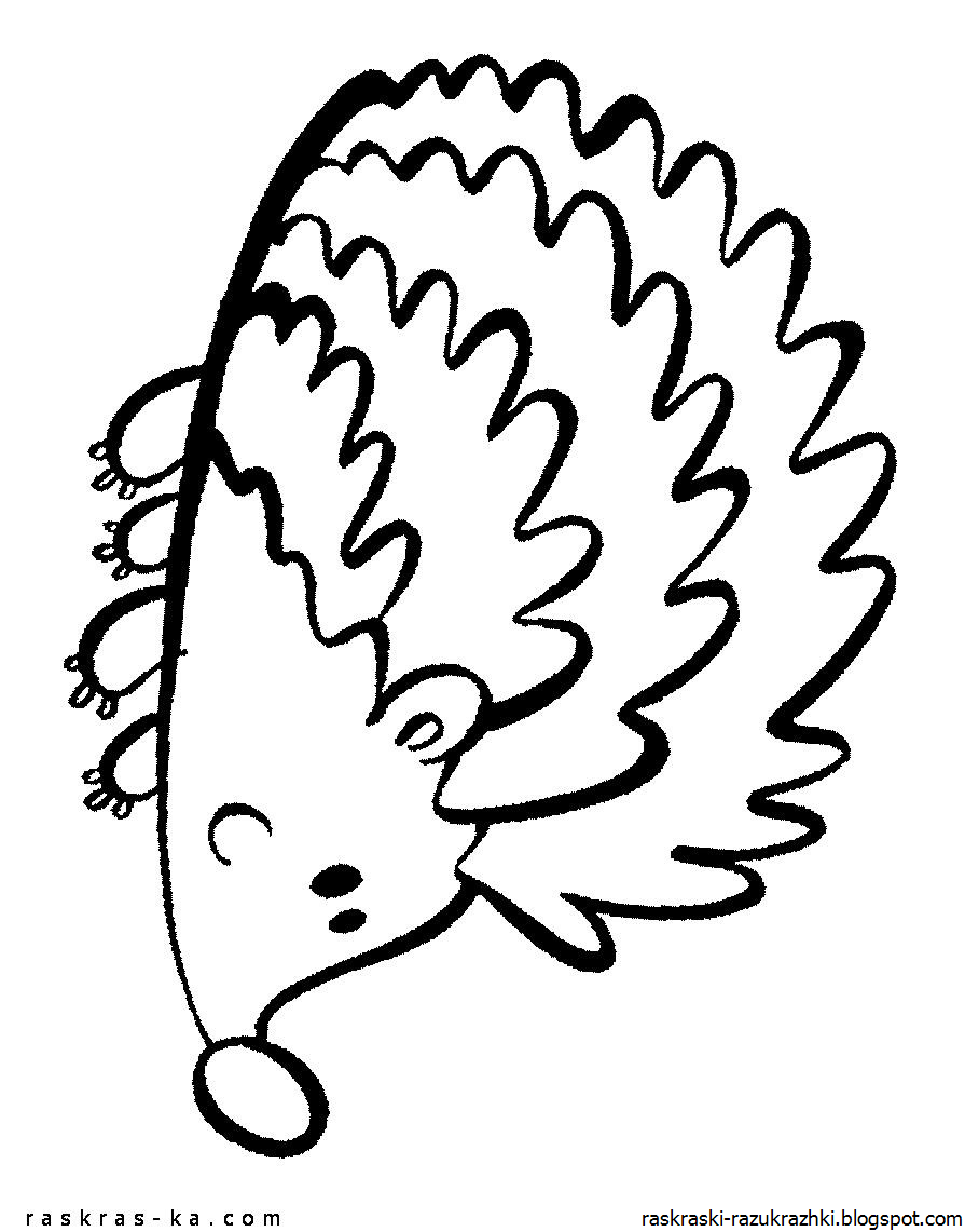 Ежик в воде раскраска