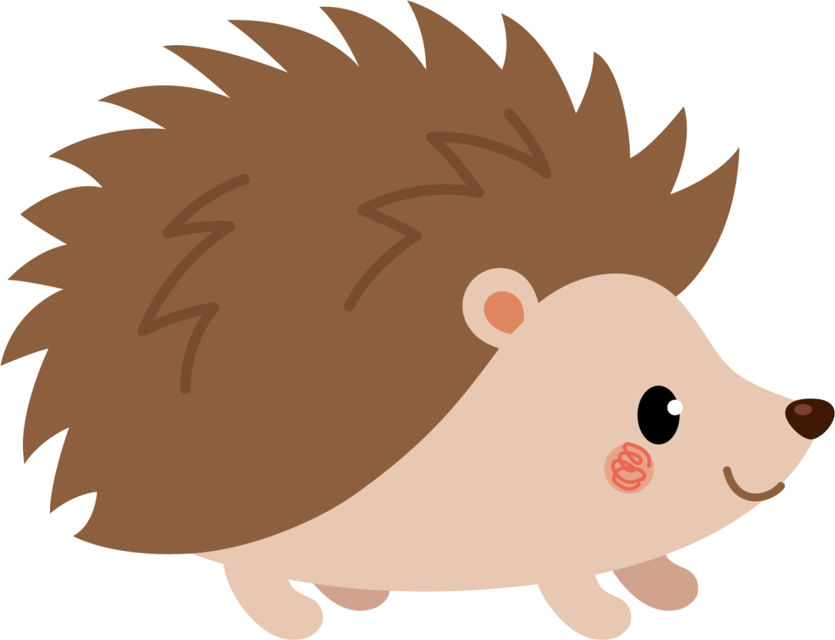 Раскраска Ёжик