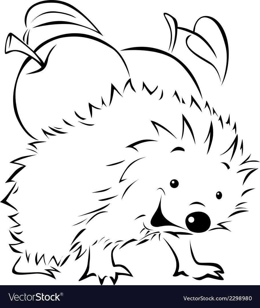 Ёжик раскраска для детей