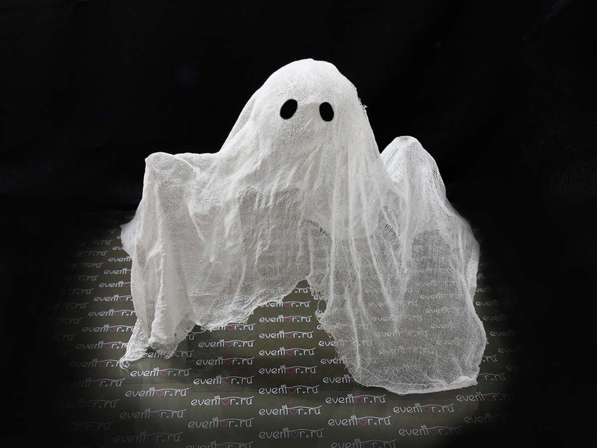 Дух привидение