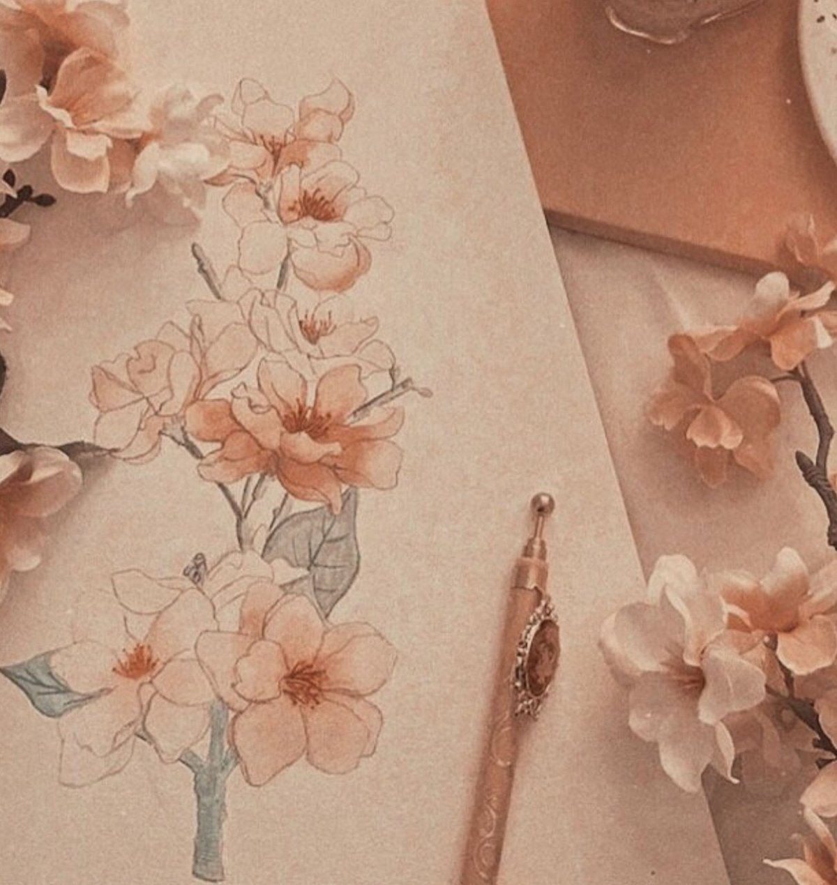 Эстетика пастельно розовый