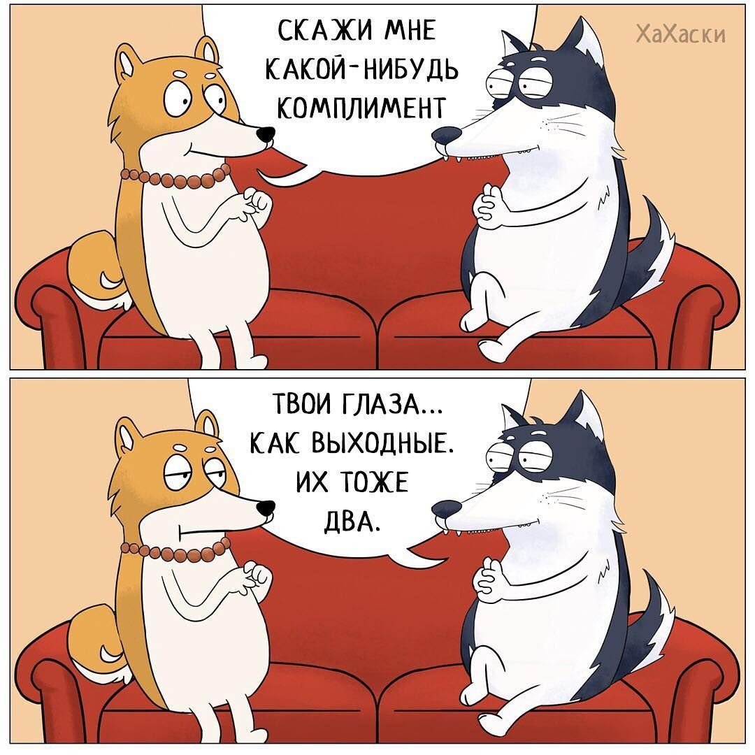 Даша я тебя люблю