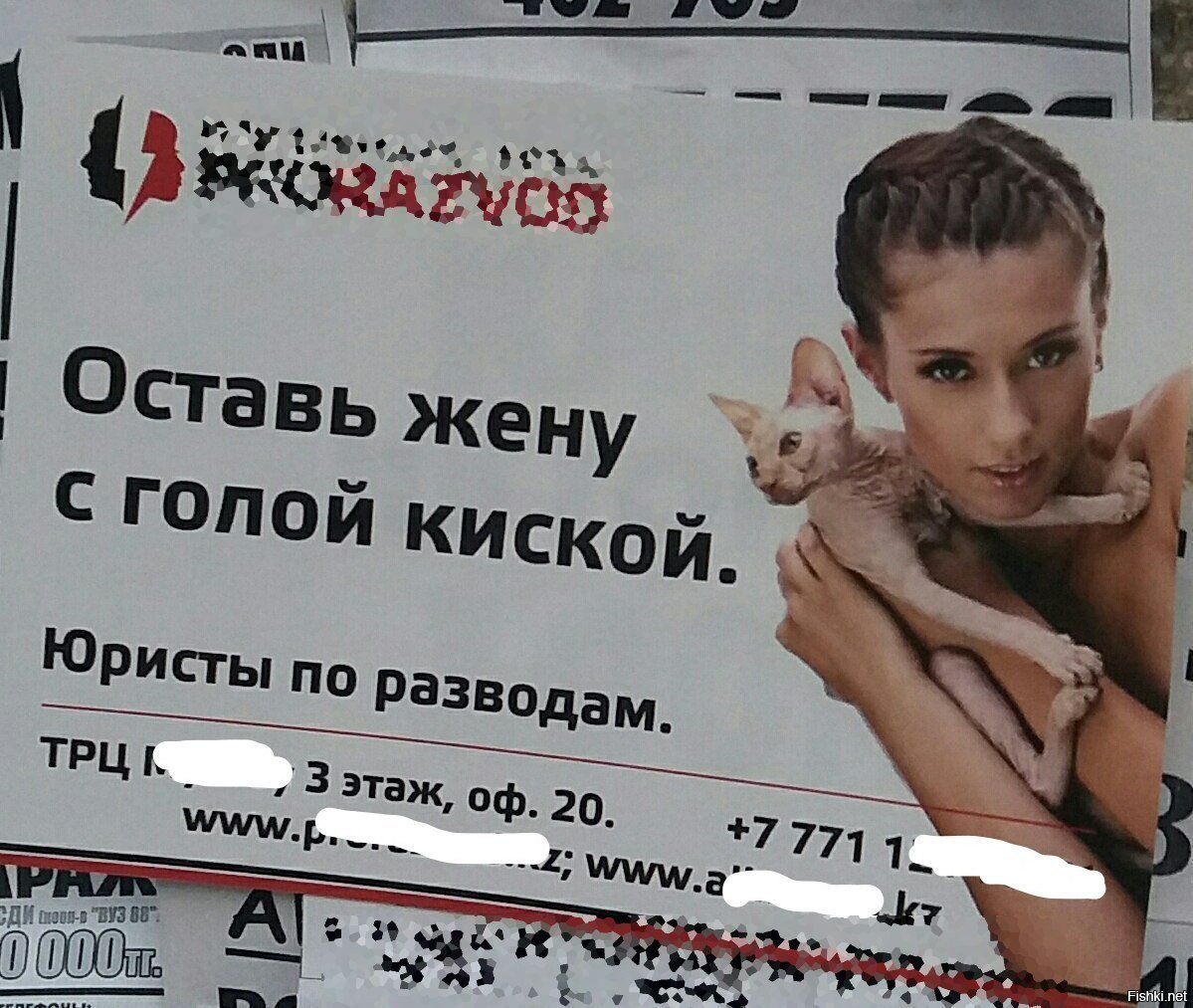 Шутки про юристов