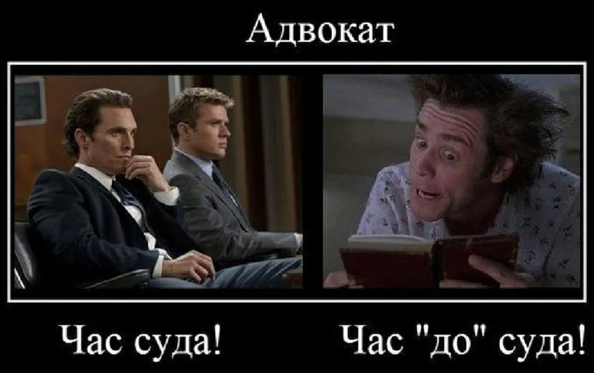 Приколы про юристов