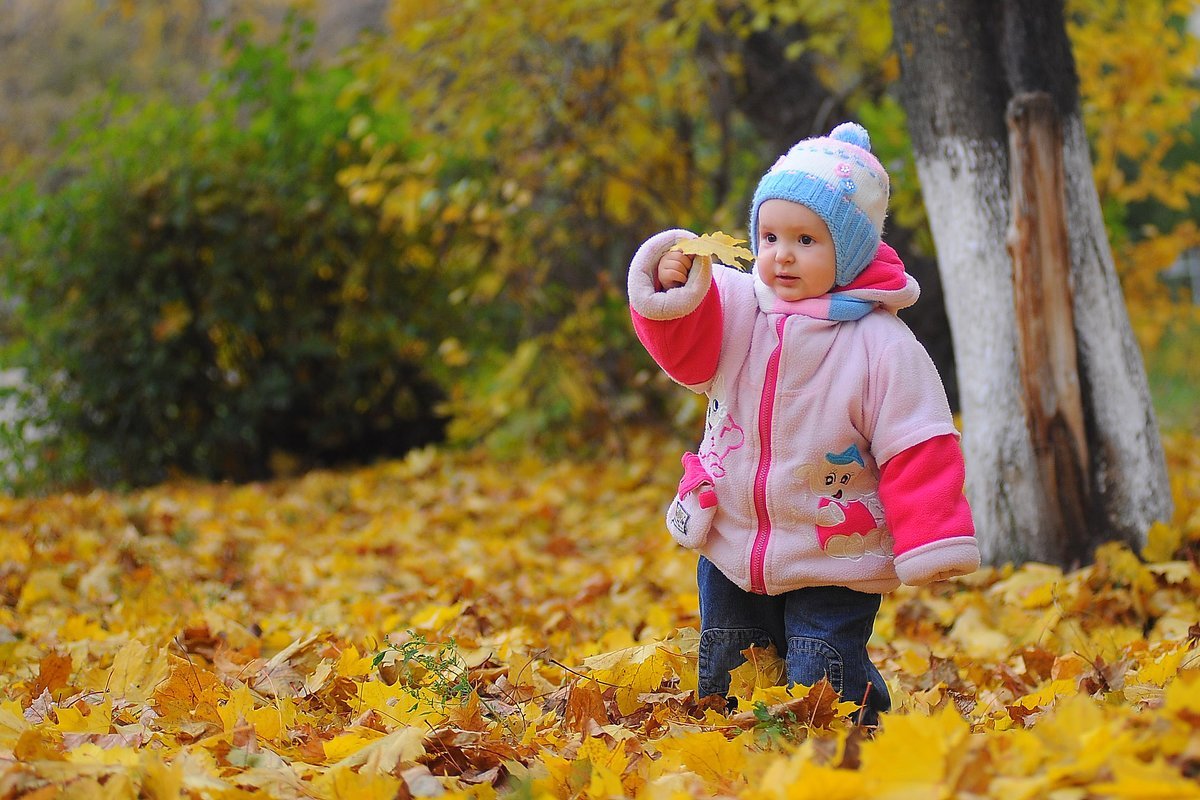 Осенняя одежда