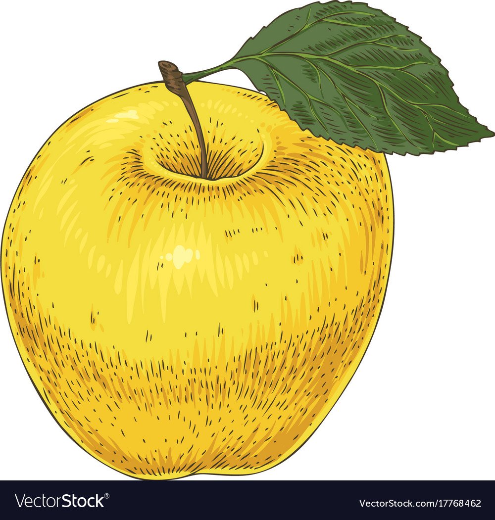 Яблоко желтое вектор