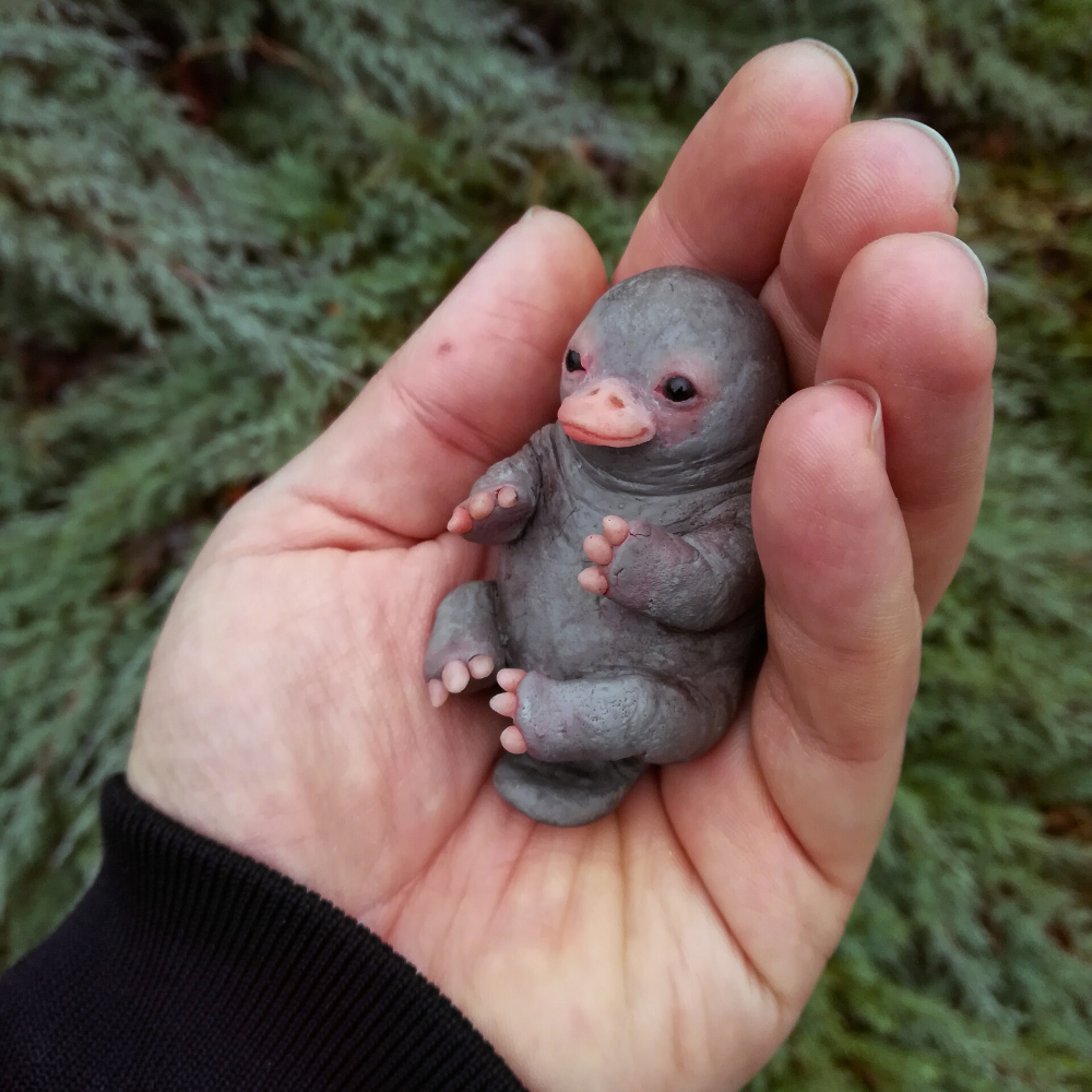 Австралийский Утконос