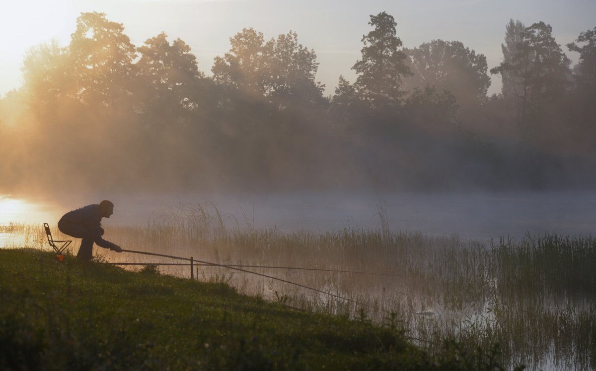 Утро лето рыбалка