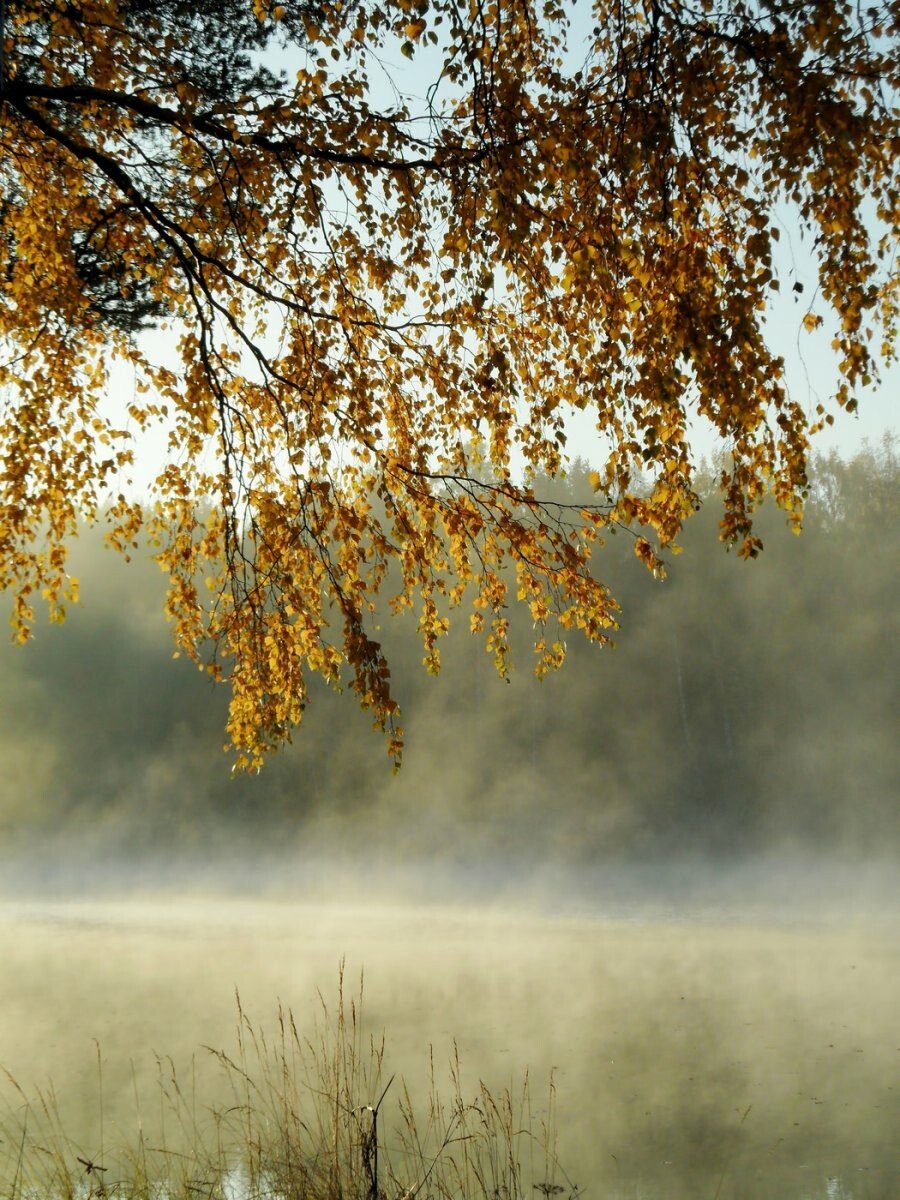 С осенним утром