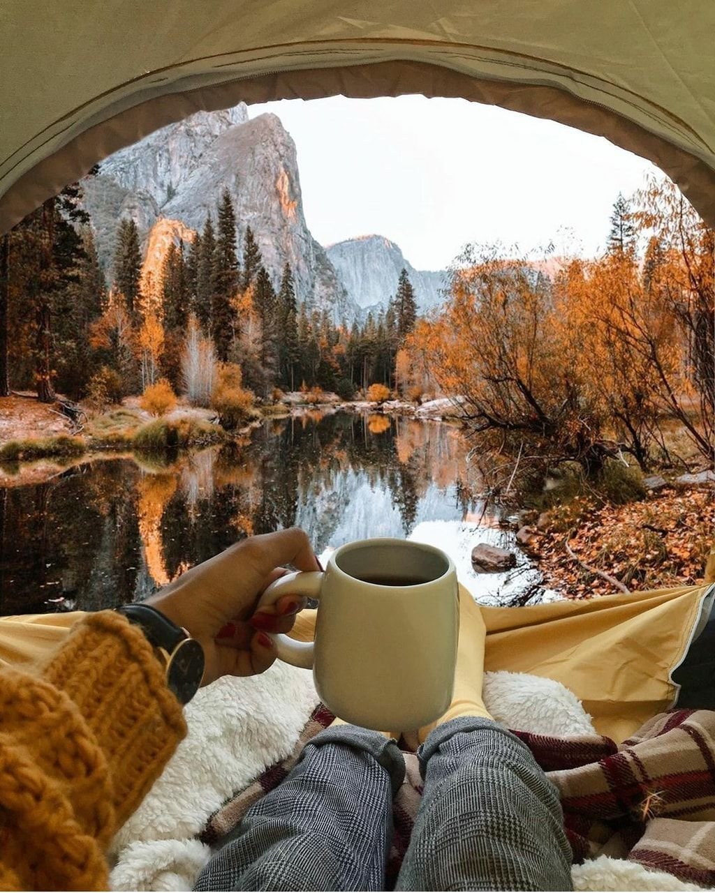 Чай на природе