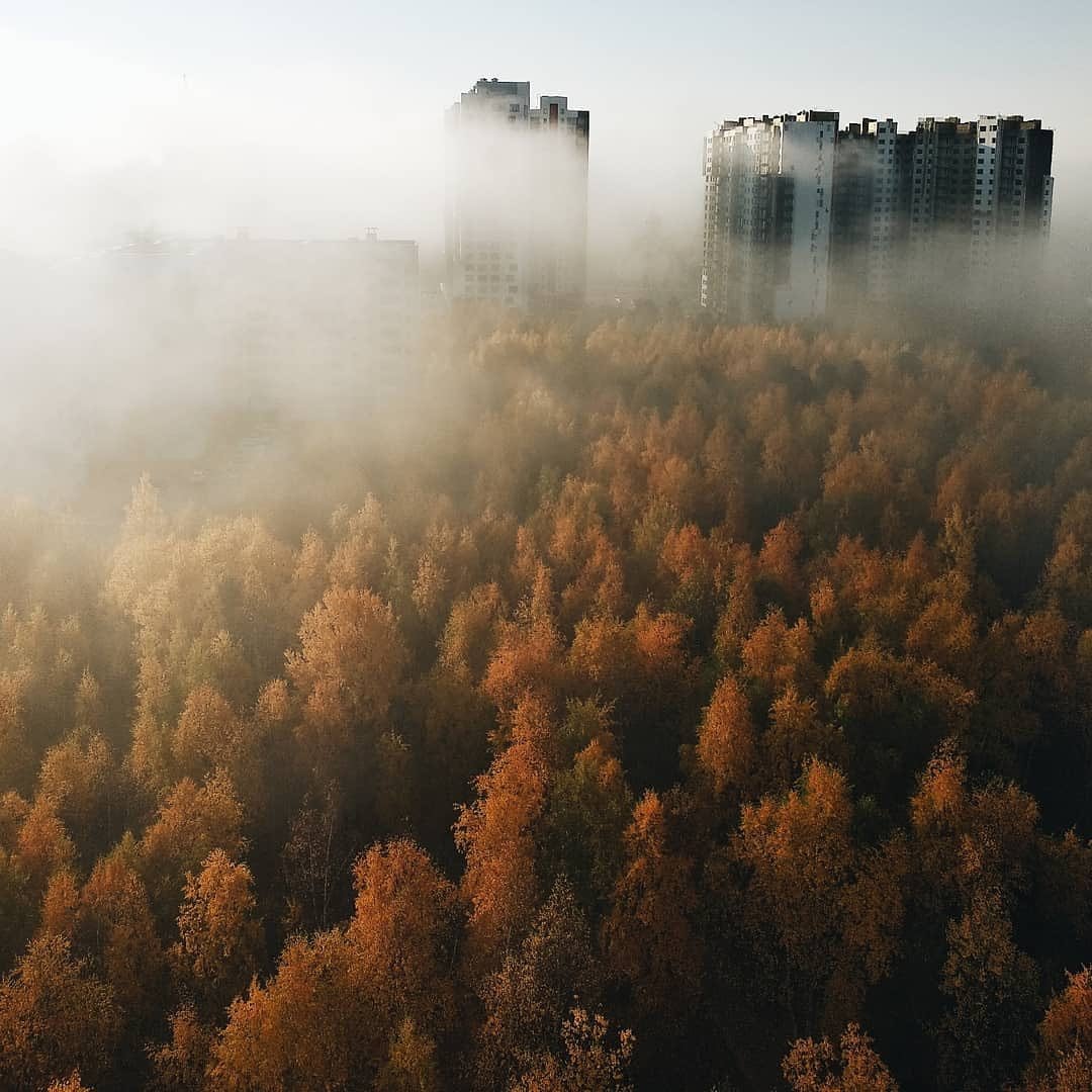 Туманный день