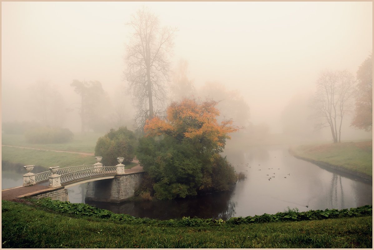 Парк Питер туман