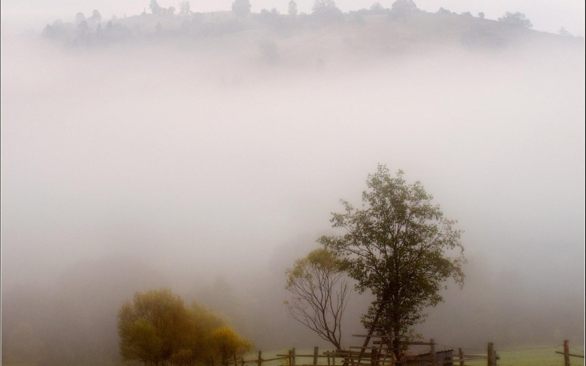 Доброе туманное утро