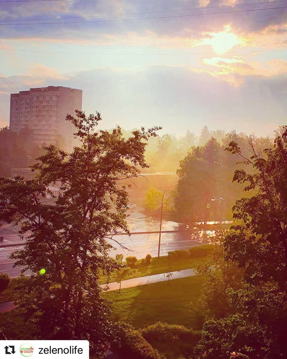 Туманное утро в городе