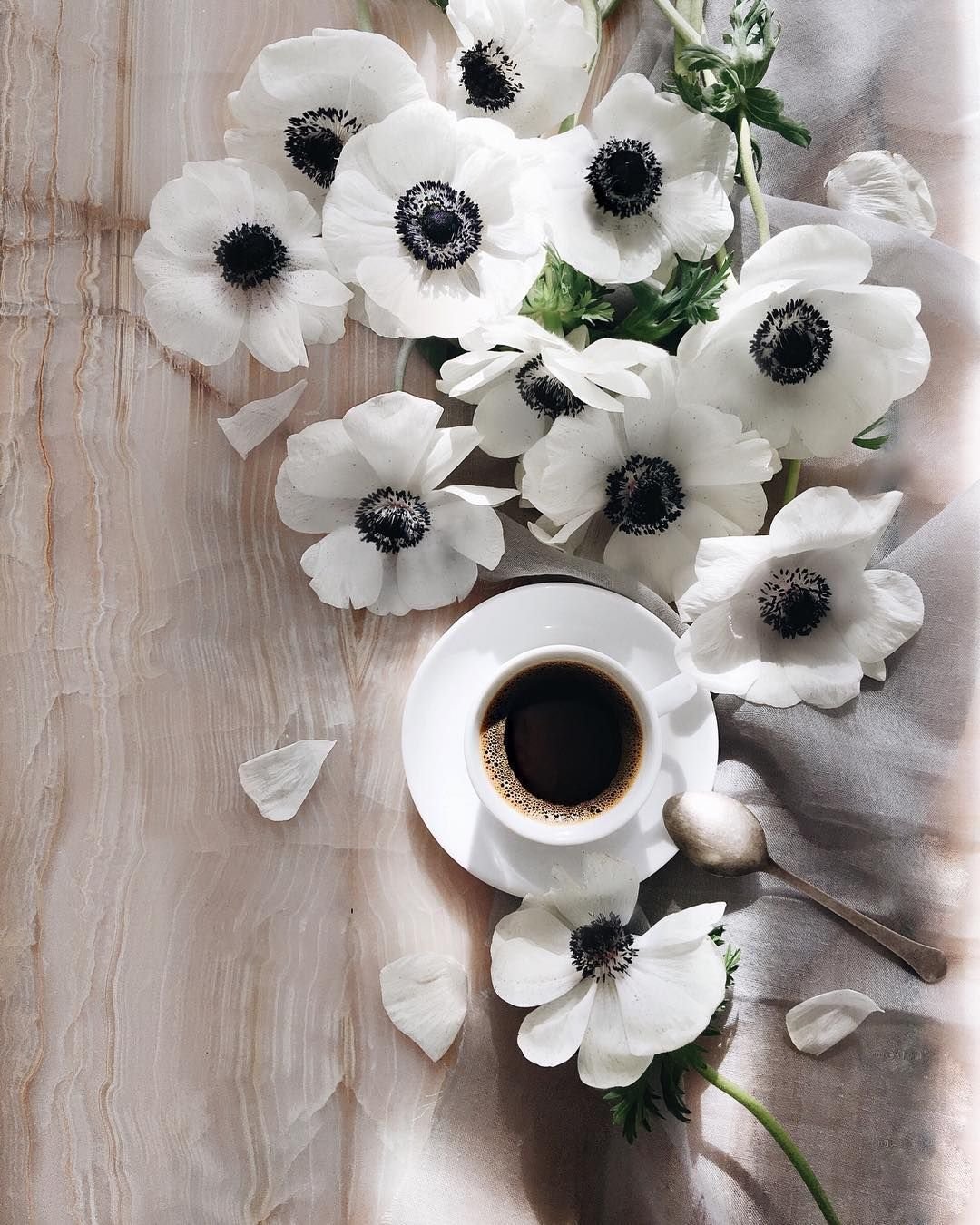 Чашка кофе и белые цветы