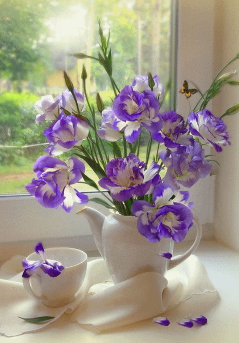 Орхидея Калейдоскоп бабочка