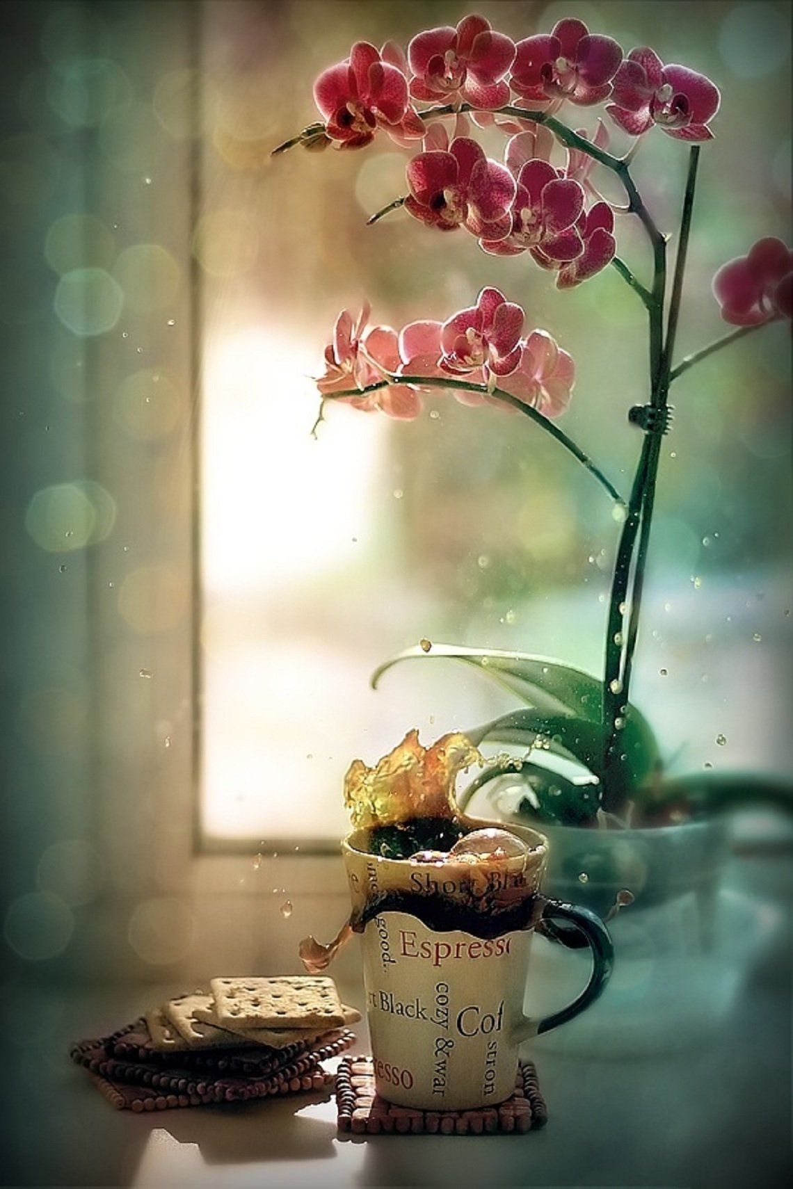 Букет орхидей доброе утро