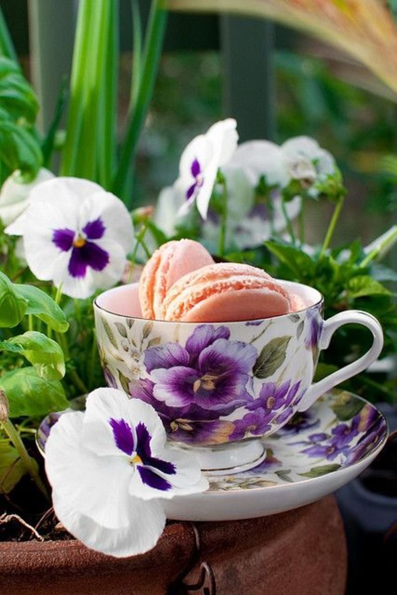 Чашка кофе и цветы