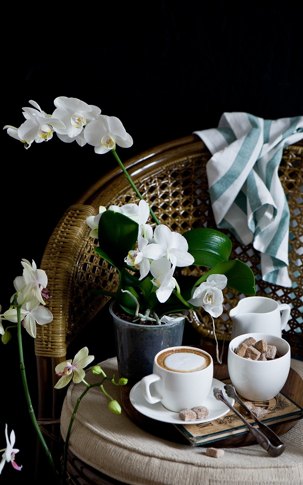 С добрым утром с орхидеями