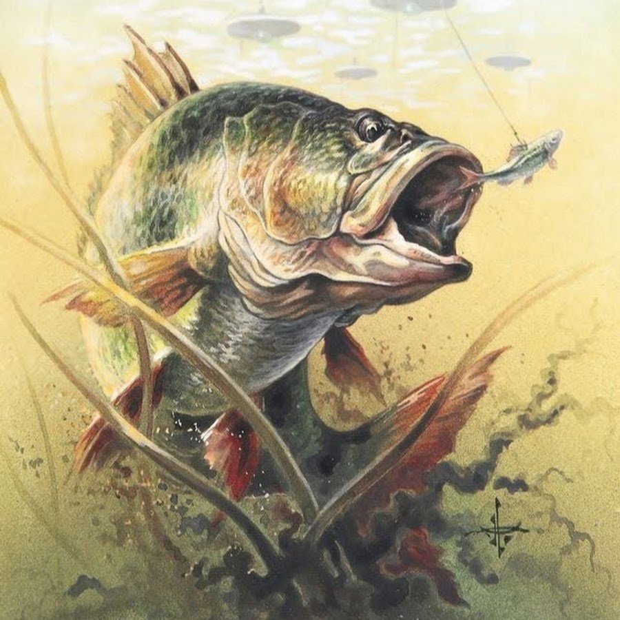 Рыбалка карикатуры