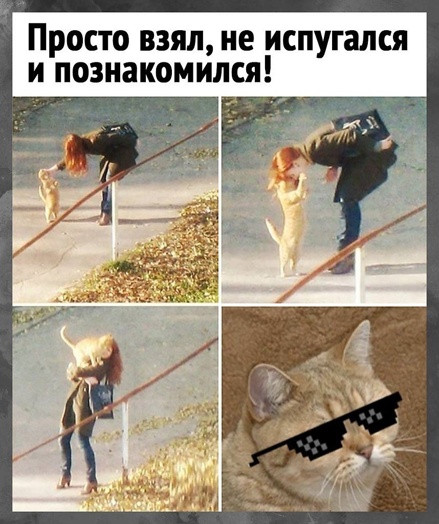 Смешные картинки для друзей для поднятия настроения