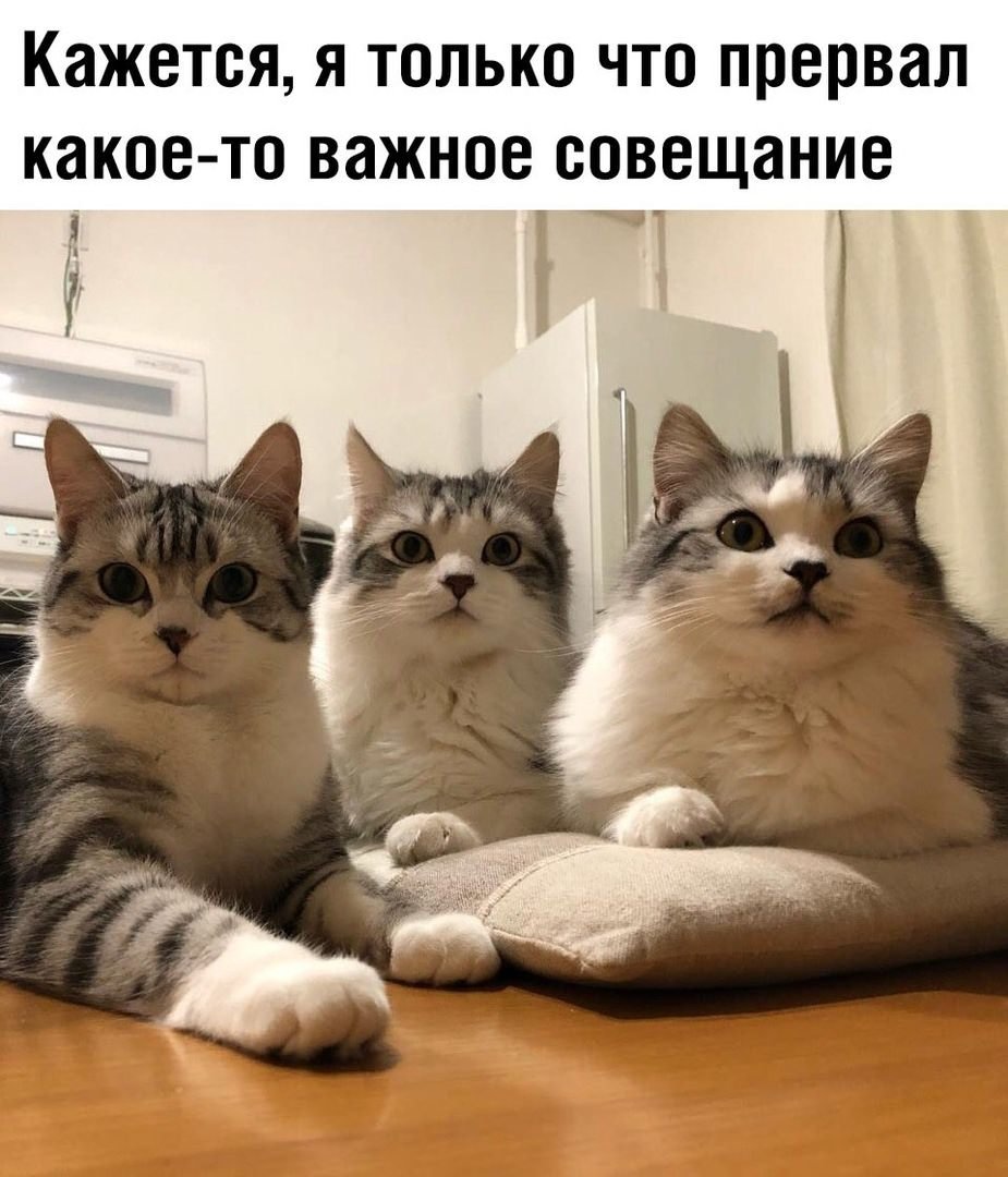 Прикольные для поднятия настроения