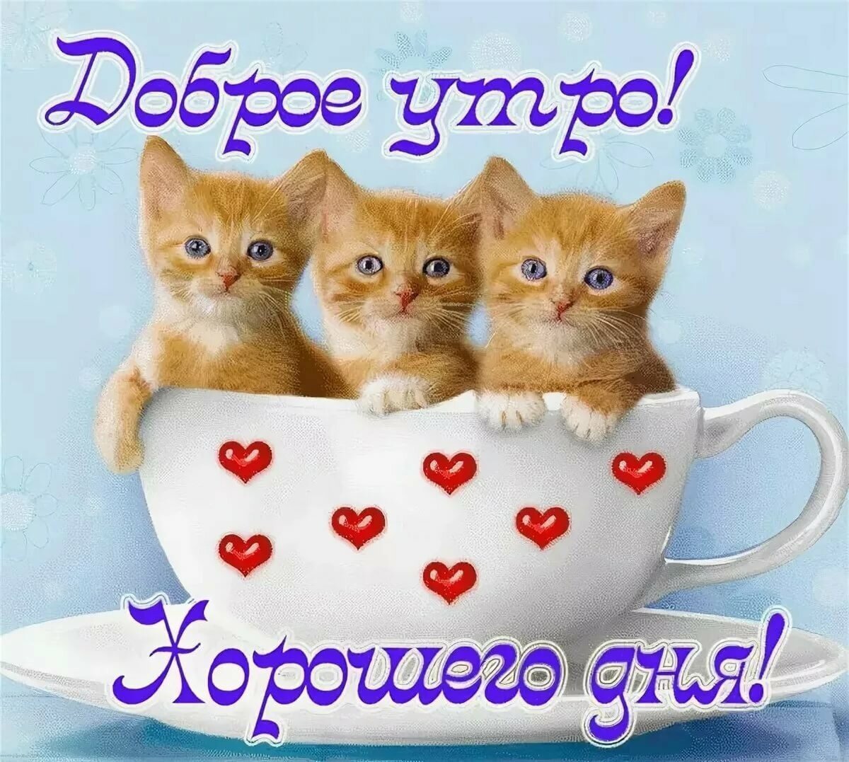 Пожелания с добрым УТ Р М