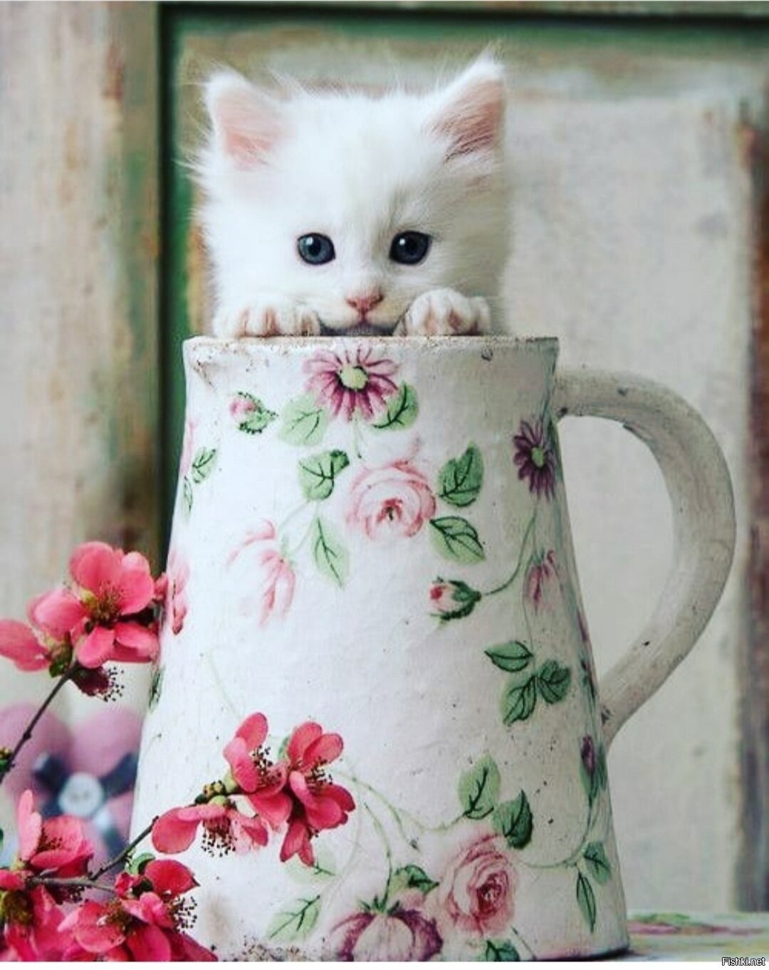 Белая кошка в цветах