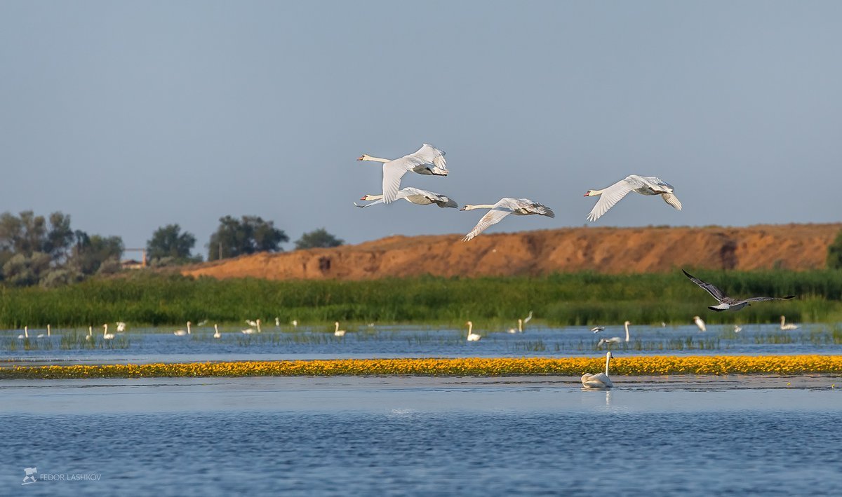Астраханская область Дельта Волги
