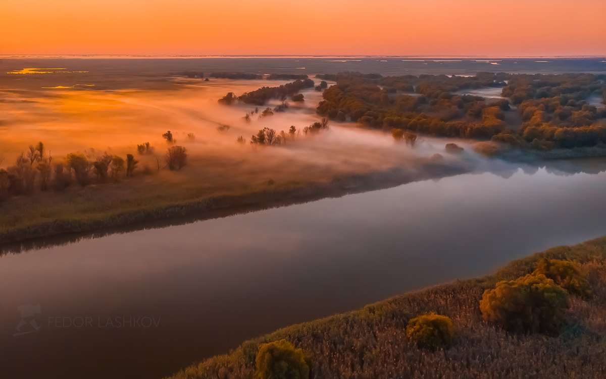 Лотосовые поля в дельте Волги