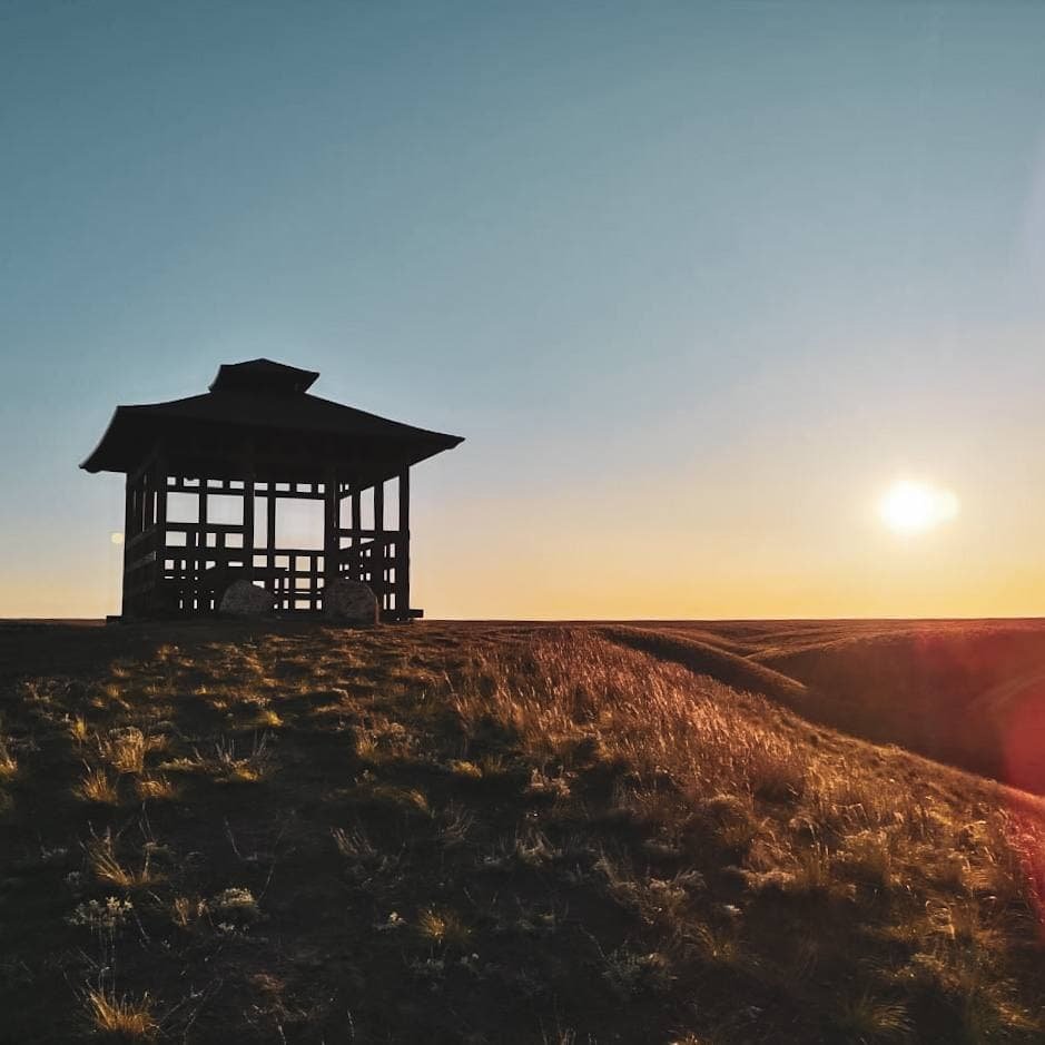 Лотосовые поля Астрахань